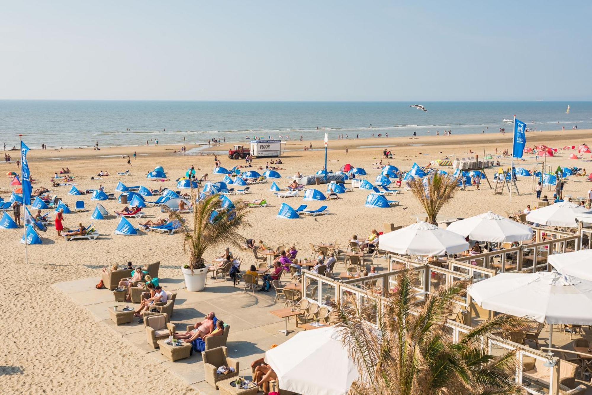 Albatros Aan Zee - Apartment Zandvoort Exteriér fotografie
